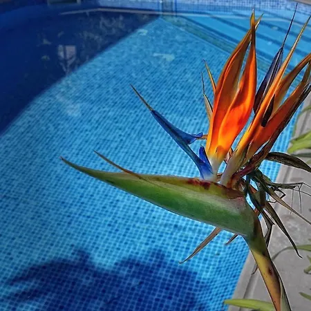 Seafront 3 Bedroom Medea With Private Pool And Garden. *