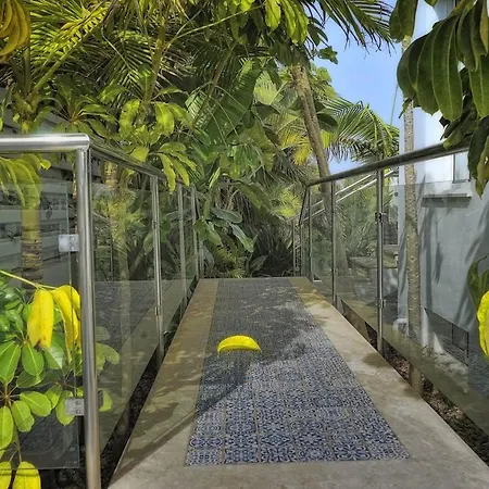 Seafront 3 Bedroom Medea With Private Pool And Garden. 别墅 Polis