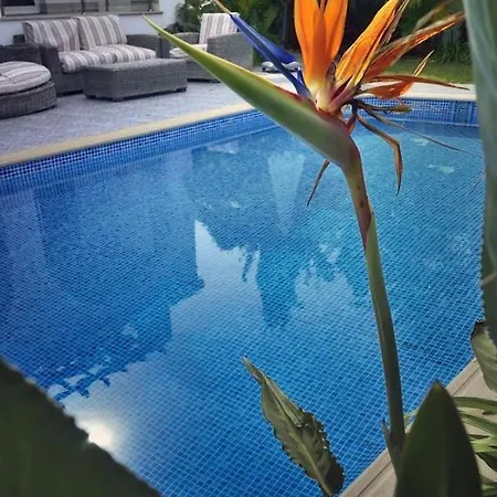 别墅 Seafront 3 Bedroom Medea With Private Pool And Garden. *
